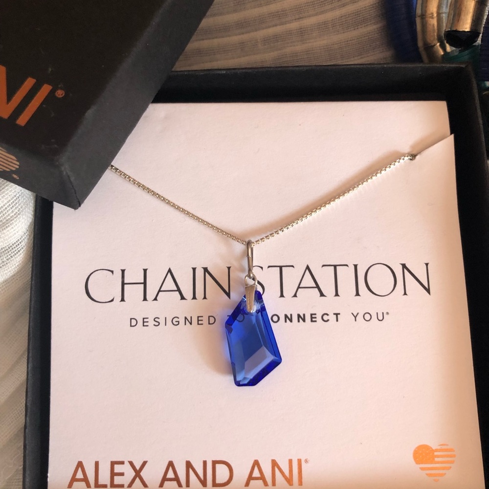 Alex and Ani Chain Station necklace and charm
